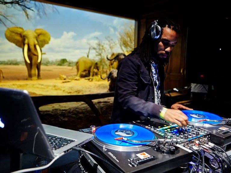 DJ Jedi on the decks in the African Mammal Hall at First Fridays | Photo: Natural History Museum, Facebook