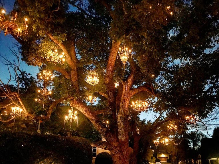 Chandelier Tree | Instagram by @maga7738