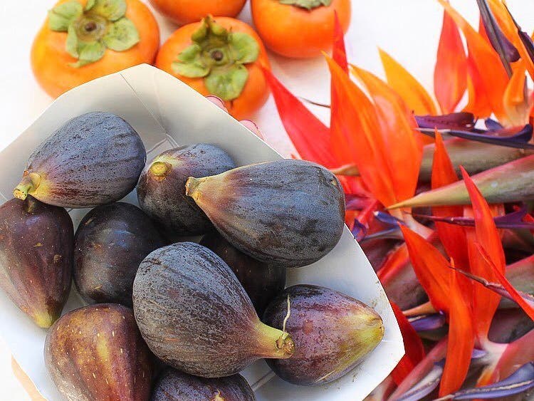 Figs, persimmons and birds-of-paradise at the Hollywood Farmers' Market | Instagram by @lazygirlliving