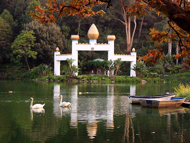 Golden Lotus Temple and swans | Photo courtesy of Self Realization Fellowship Lake Shrine