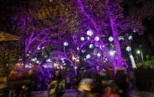 Disco Ball Forest at LA Zoo Lights